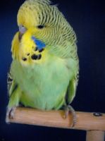ws-babys2012.002.jpg